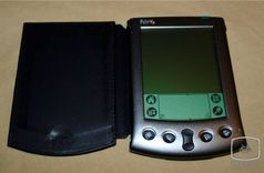 Palm Vx